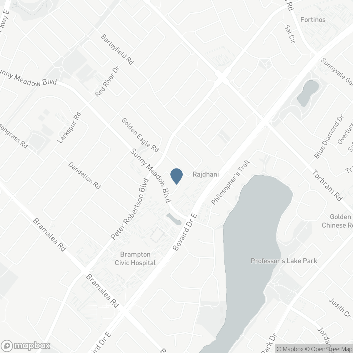 46 THUNDERBIRD TRAIL, Brampton, Ontario L6R 2T3